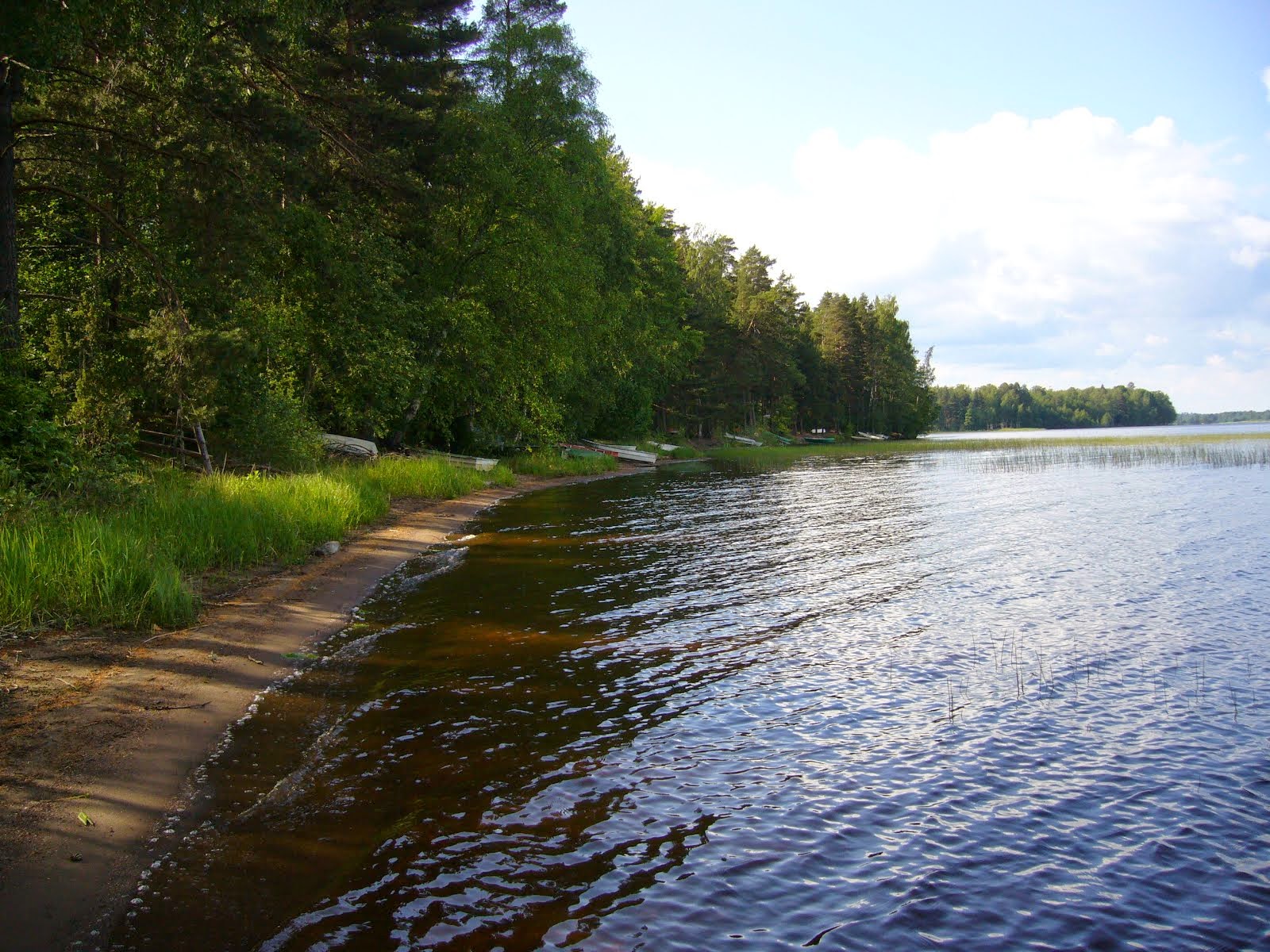 Puhtaimmat  tehokkaimmat  tutkitut ravintolisät