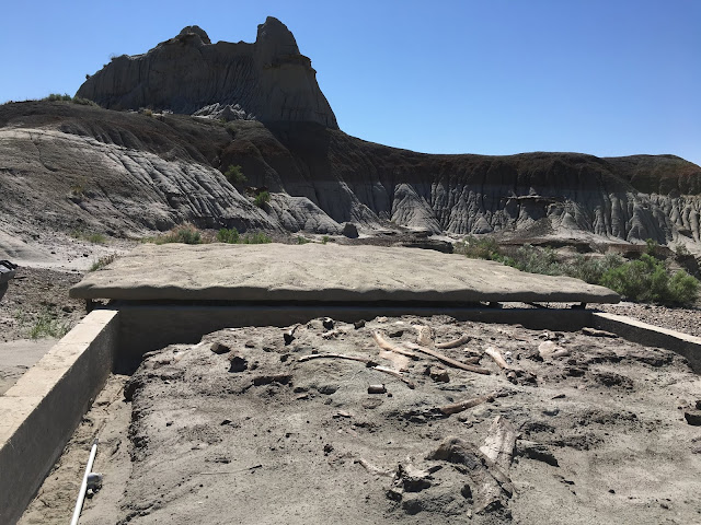 Fossil Hunting in Dinosaur Provincial Park (Family Adventures in the Canadian Rockies)