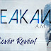 Cover Reveal: BREAKAWAY by A. M. Johnson 