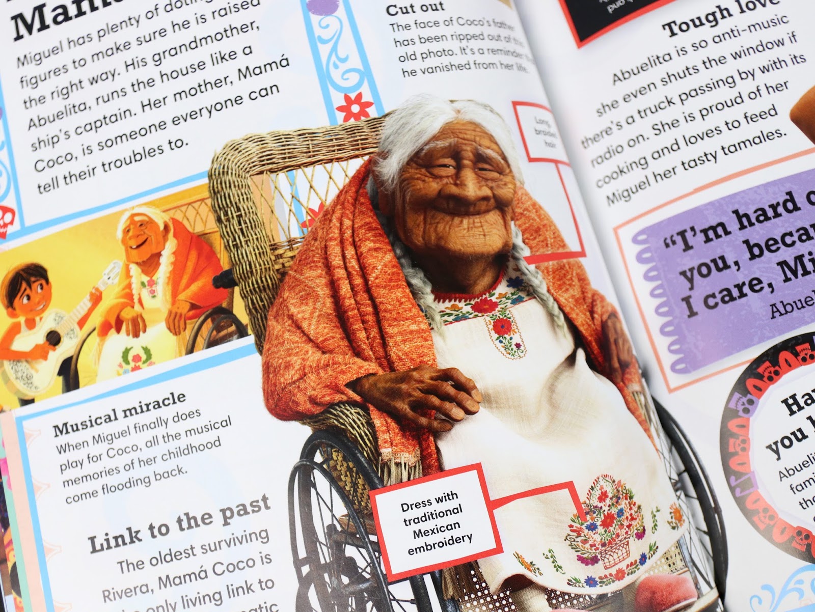 Dan the Pixar Fan Coco The Essential Guide Book Review