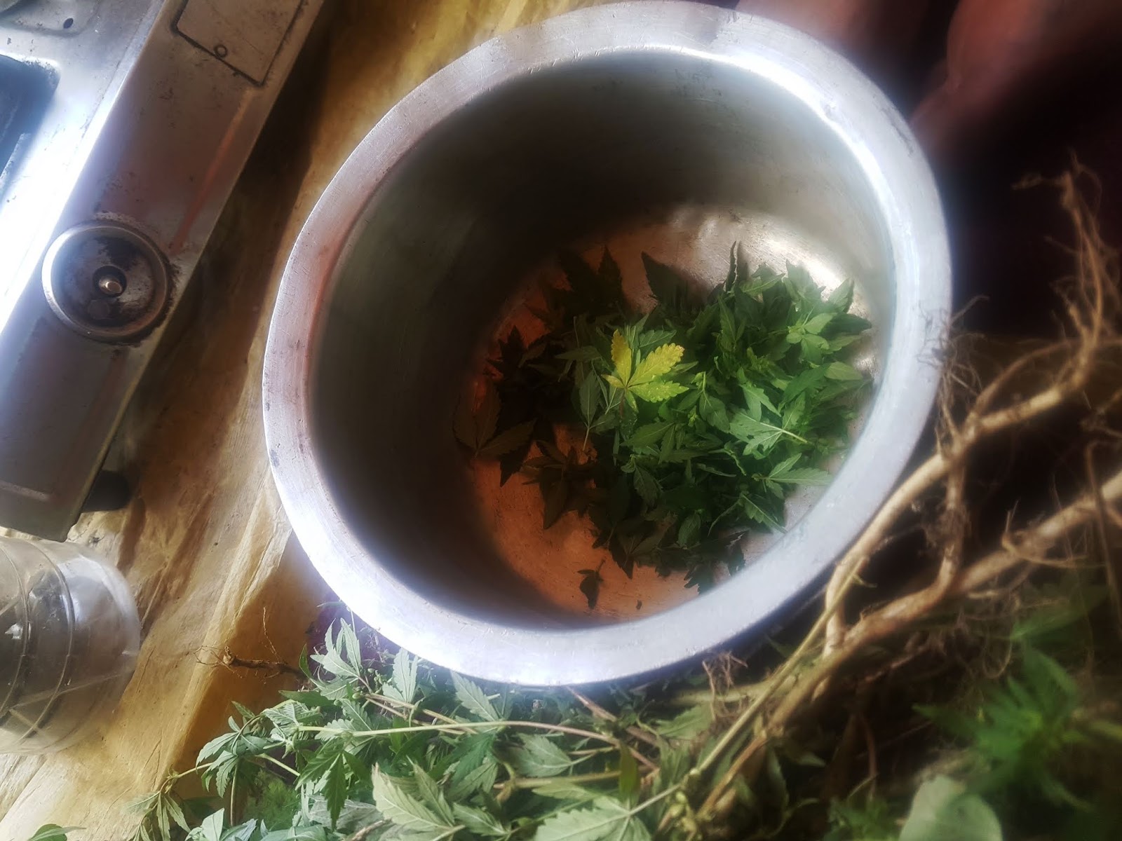 Drinking Marijuana Tea in Kashmir | Ummi Goes Where?