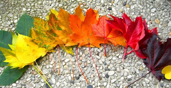 fall event