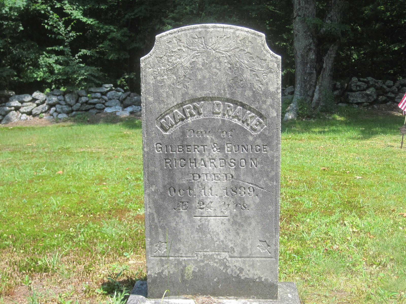 Mt.Tom Billy Goat 2 Chapel Brook Reservation Ashfield Ma. Ashfield