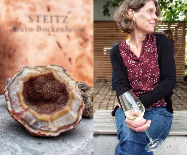 Weinprobe im vom Weingut Steitz aus Stein-Bockenheim in Rheinhessen.