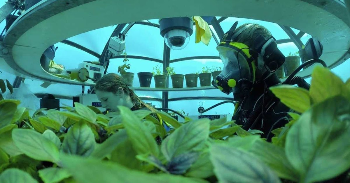 Penguatan Ekonomi Agrikultur Di Indonesia Dunia Pendidikan