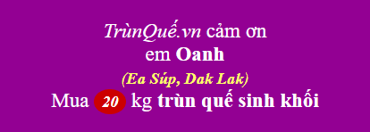 Trùn quế Ea Súp