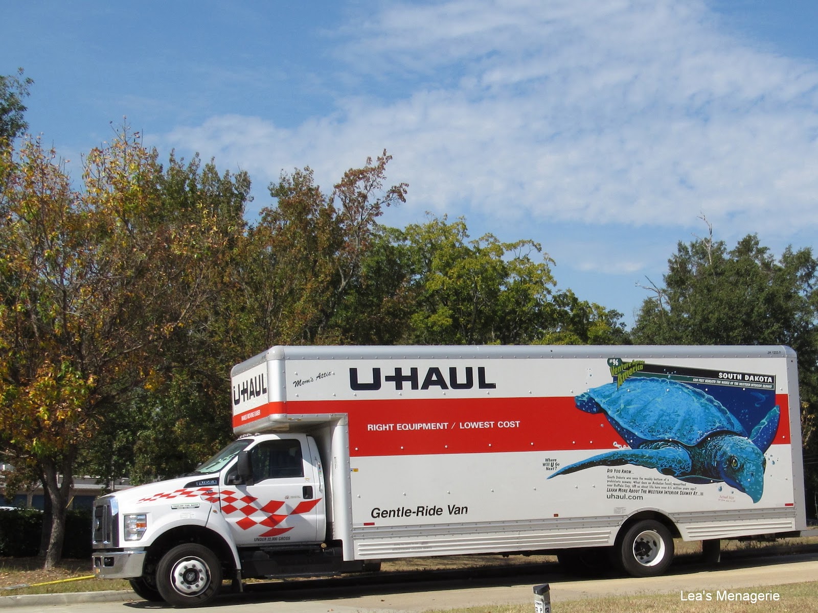 Lea's Menagerie Fossils and Wildflowers, October 31, 2016