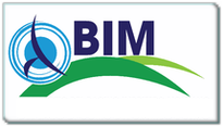 Contributo BIM 2015