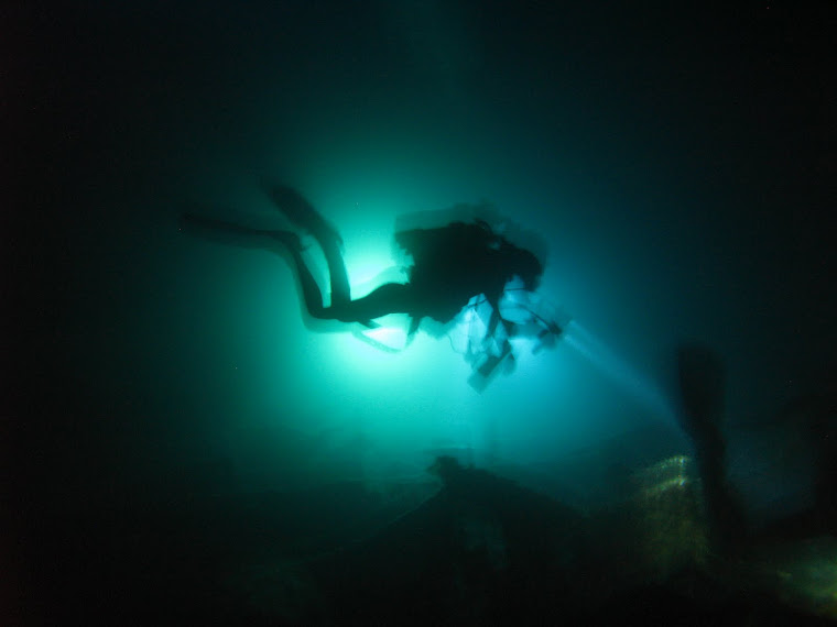 Night Diving