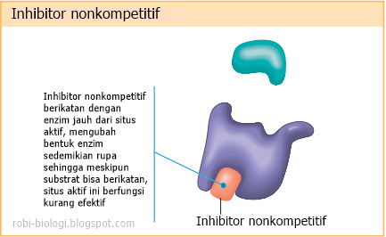 Faktor faktor yang mempengaruhi kerja enzim  BELAJAR BIOLOGI