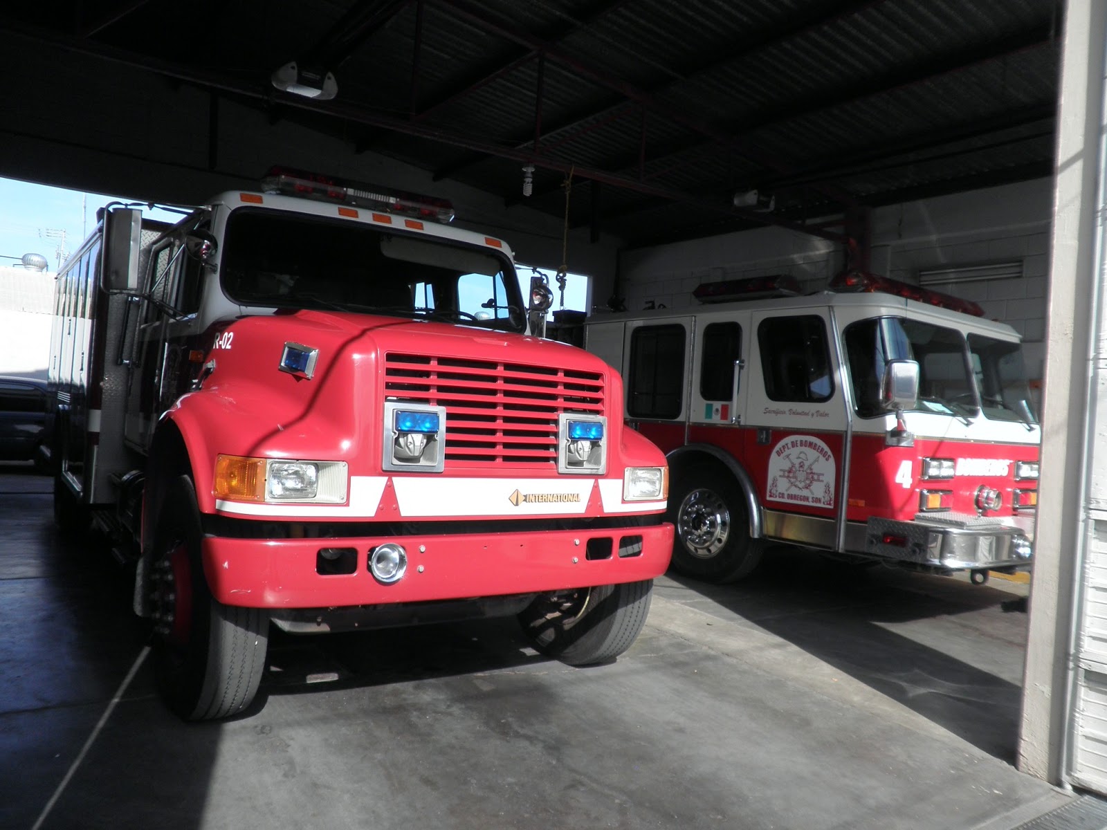 BRAVO29.... ESTACION 1..LA MAS PERRONA