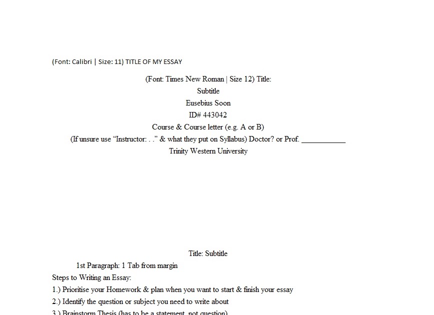 How to make an essay outline