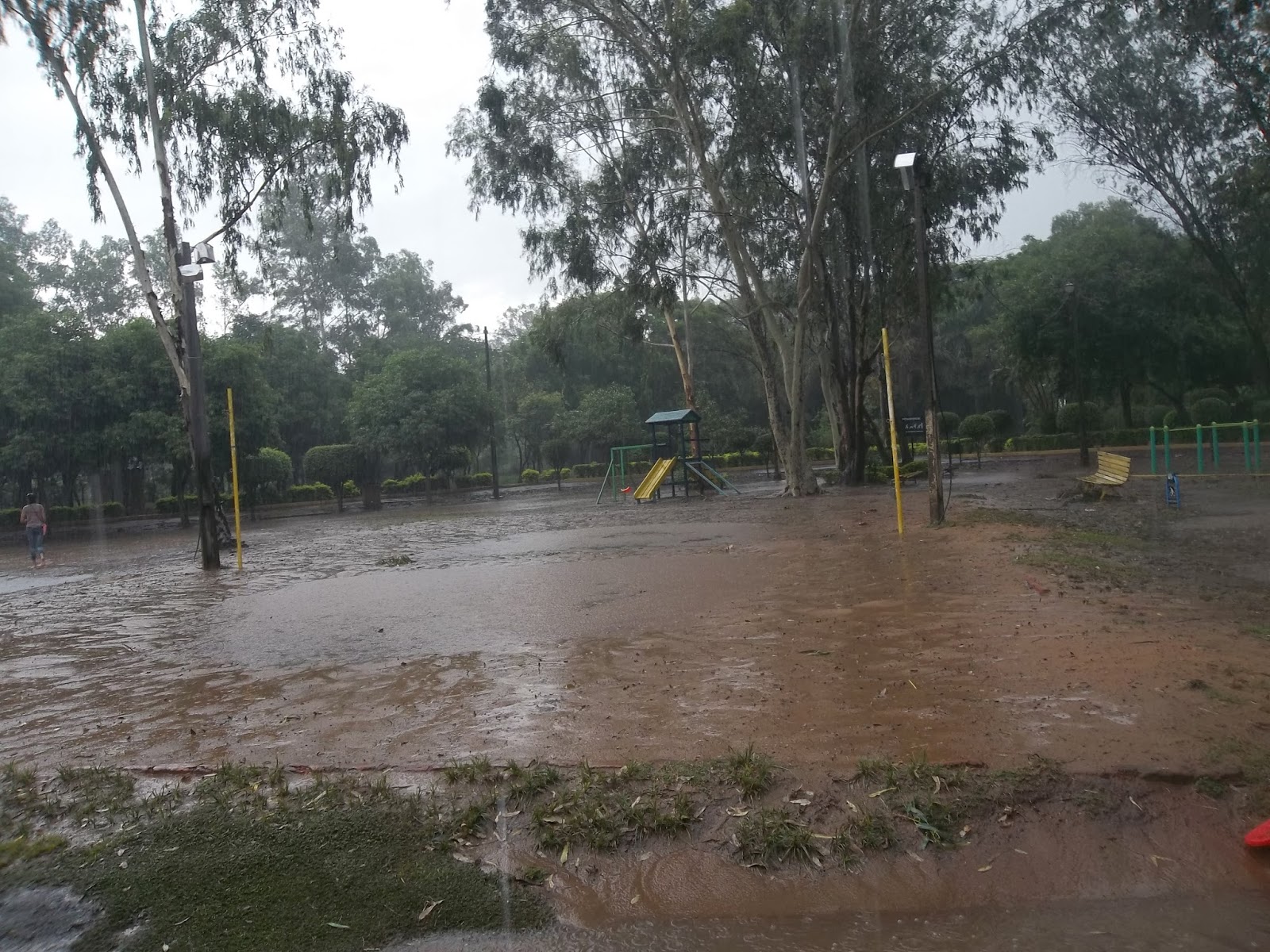 ¡ROHAYHU PARAGUAY! San Lorenzo del Campo