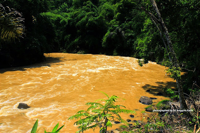 View lain kelokan sungai Citanduy View lain kelokan sungai Citanduy