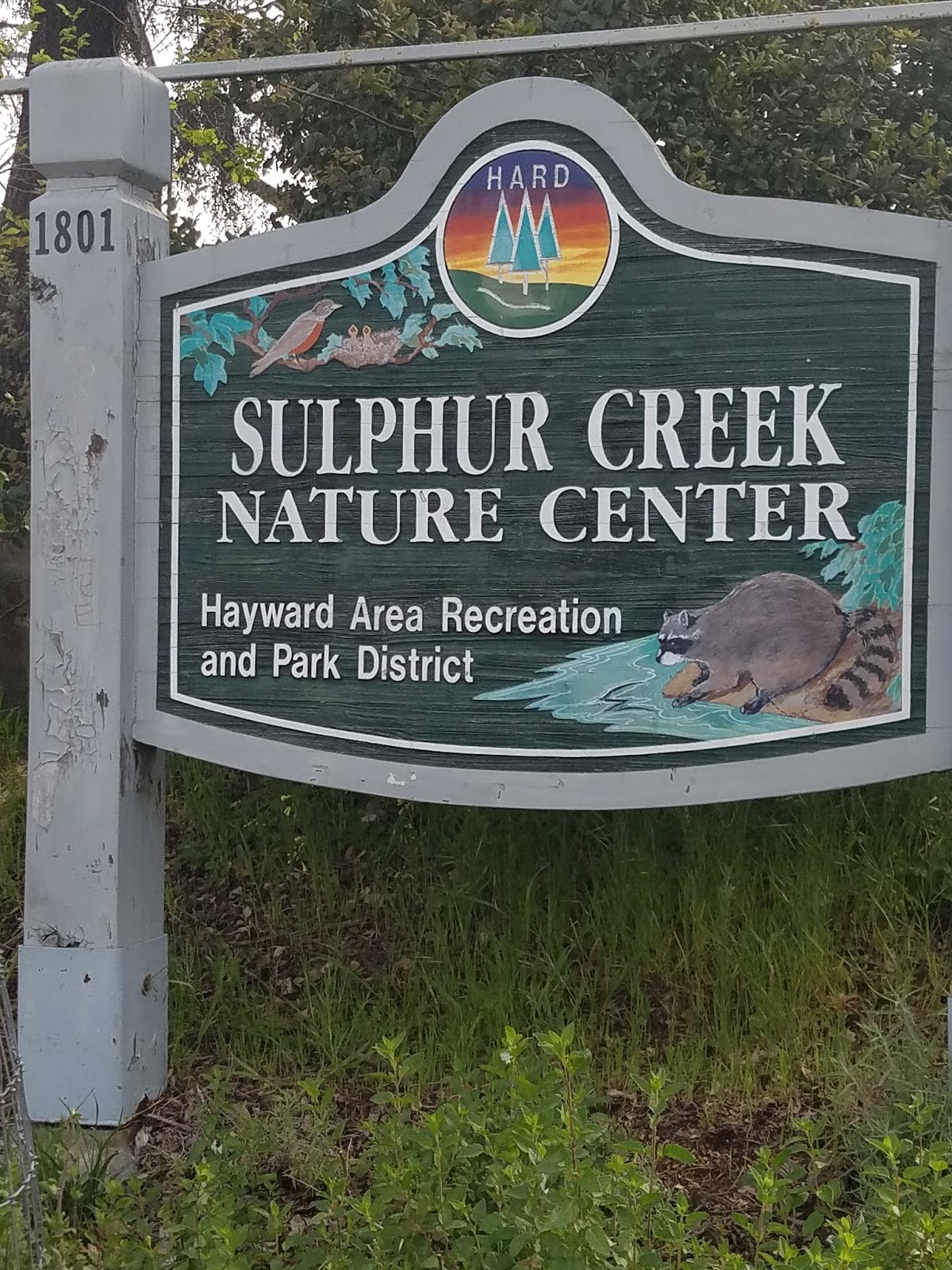Adventures in Weseland Sulphur Creek Nature Center