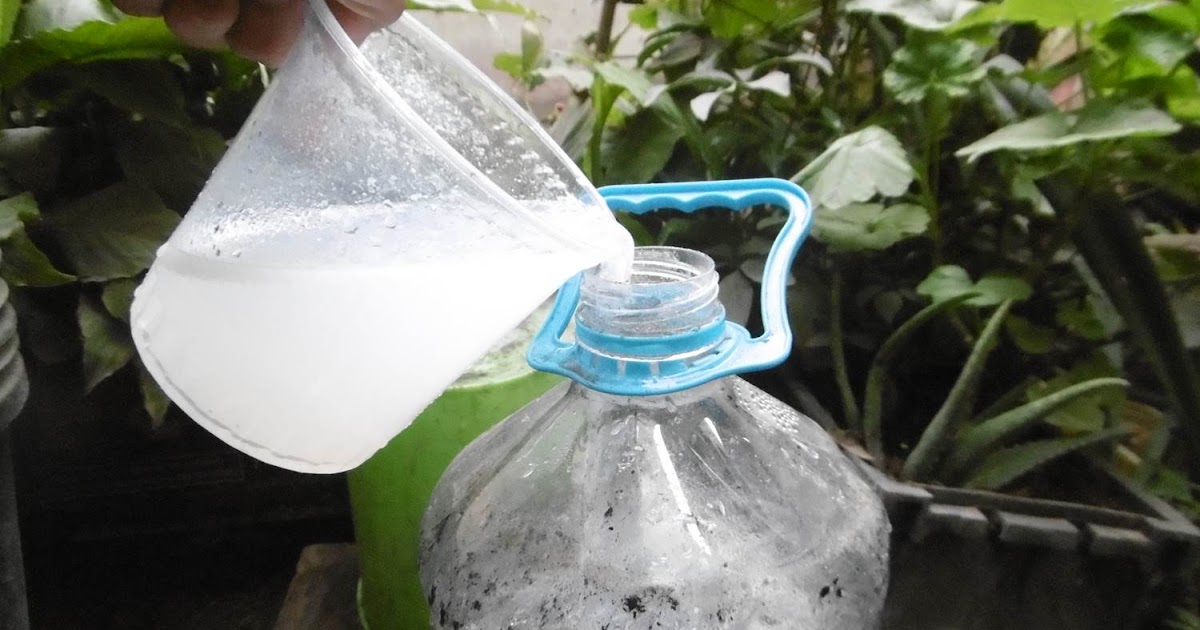 Viento corto Montgomery agua jabonosa para