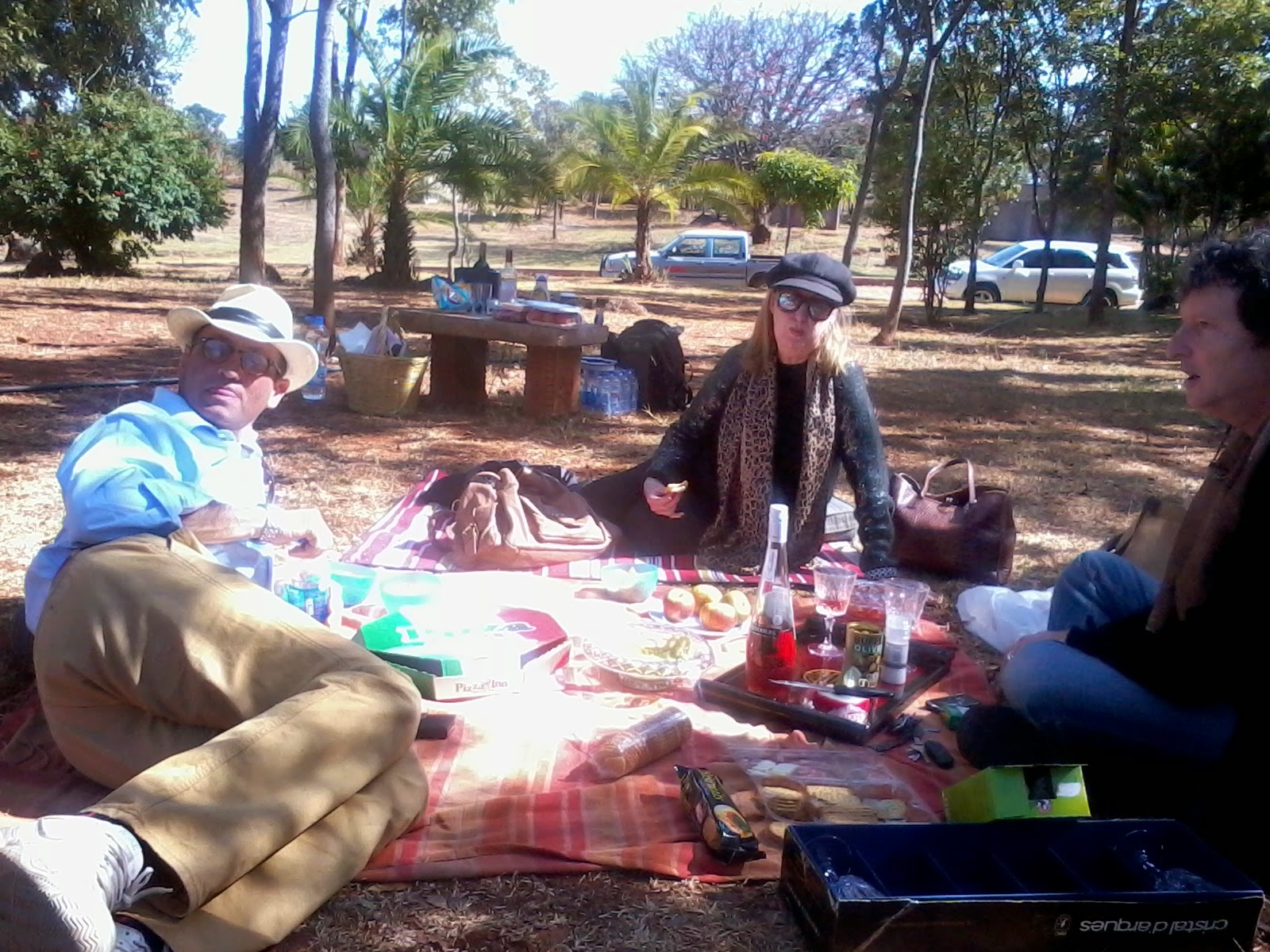 Harare Confidential Picnic at Glen Forest Memorial Park