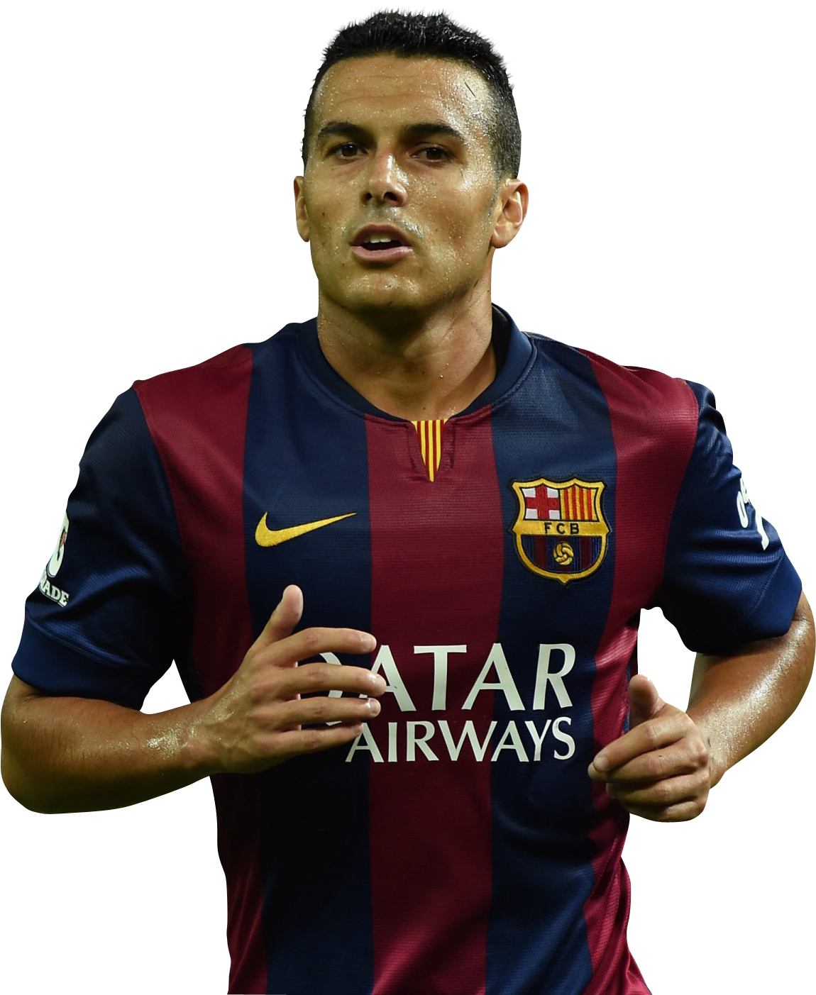 Pedro Rodriguez - ViveLesRenders