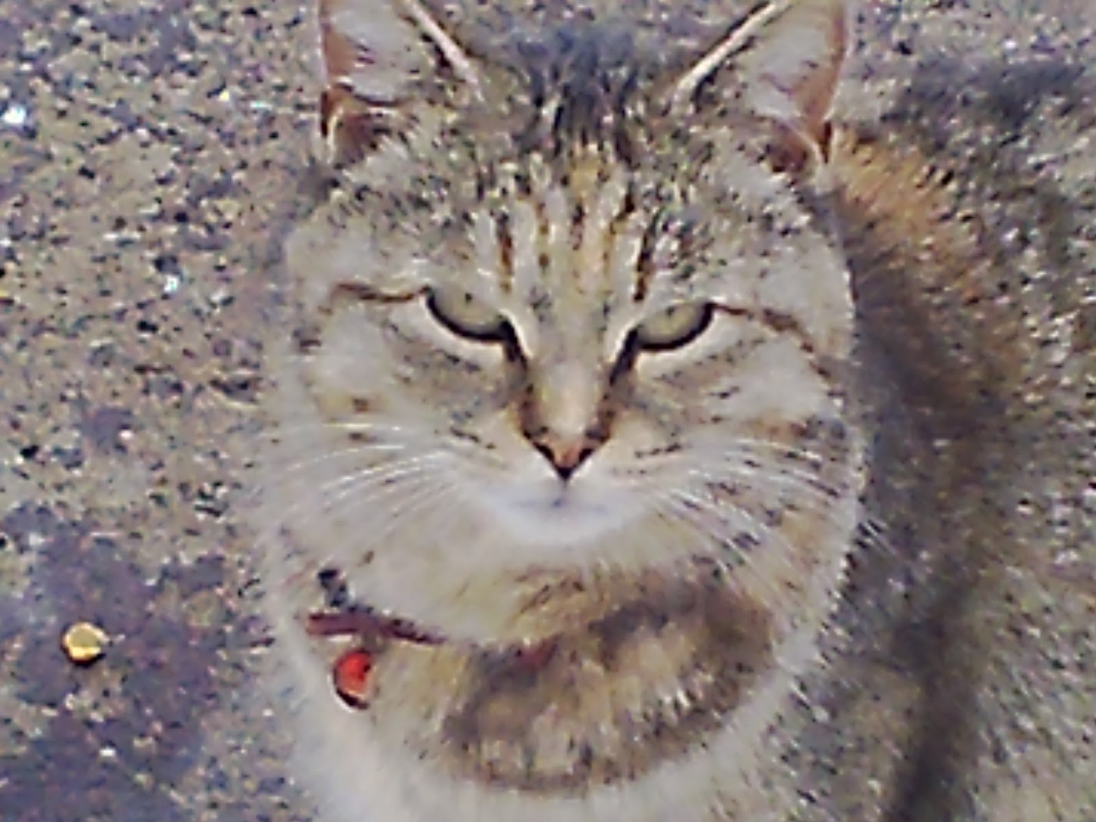 online product review Emerson HD 720p Camcorder