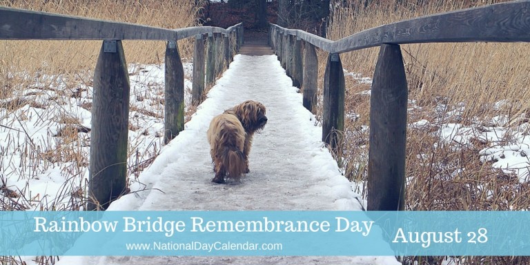 rainbow bridge remembrance day rainbow bridge remembrance day