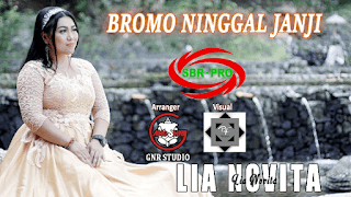 Lirik Lagu Bromo Ninggal Janji - Lia Novita