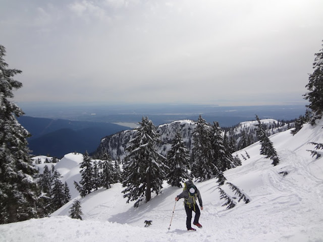 hiking mt. seymour