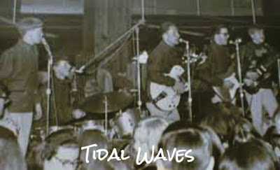 Tidal Waves Farmer John Tidal Waves Farmer John