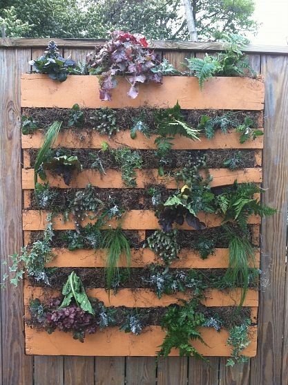 Die-Wohngalerie: Hängende Gärten - Blumenschmuck in Augenhöhe!