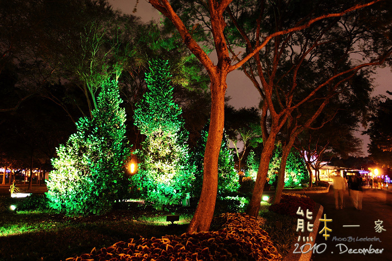 花博新生園區|林下花圃花海區|日夜景~園區泛景