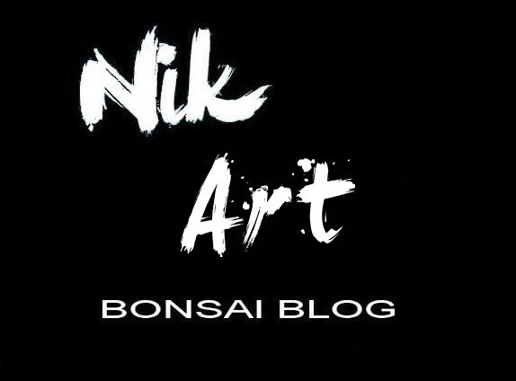Nik Art bonsai blog