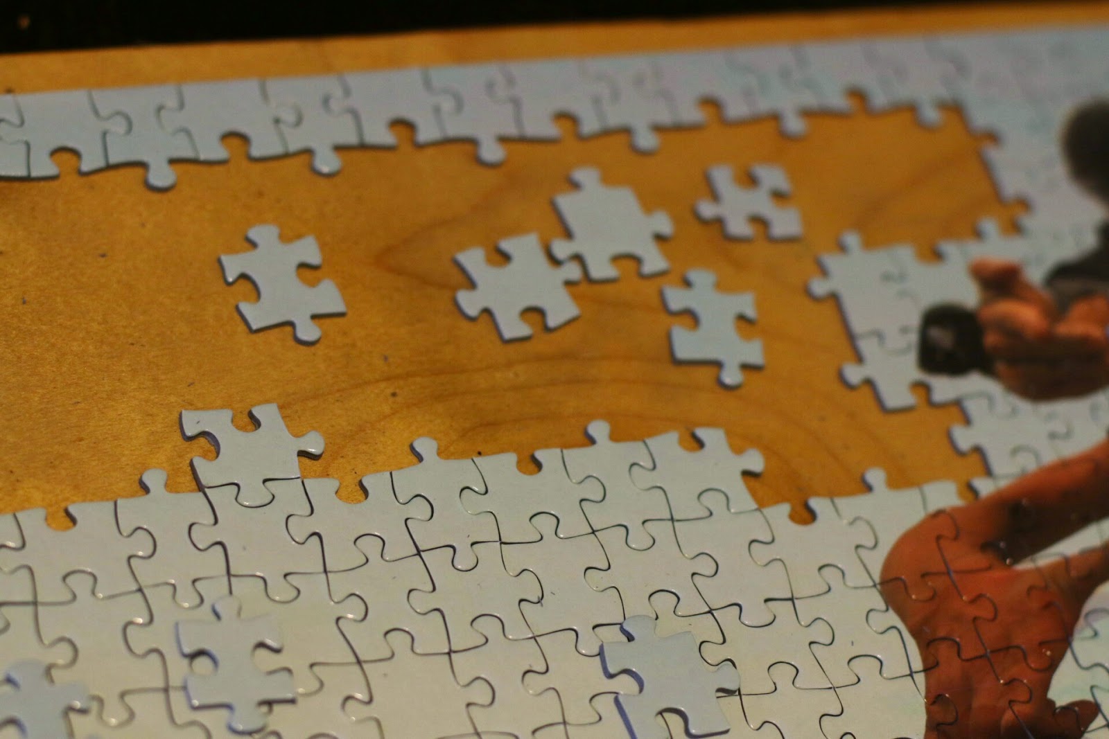 Produkttest Venus Puzzle Lisa´s ProdukttestWelt