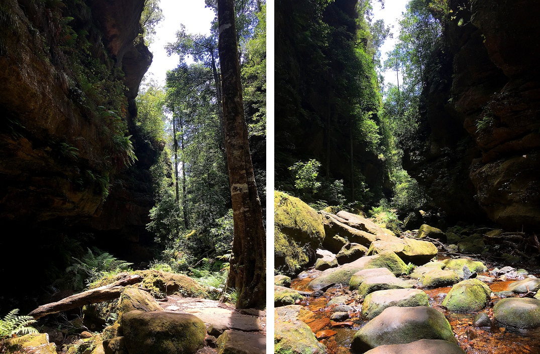 Hiking solo the Grand Canyon in Australia's Blue Mountains has been one of the greatest adventures. With breathtaking views and endless stairs, come and find out more!