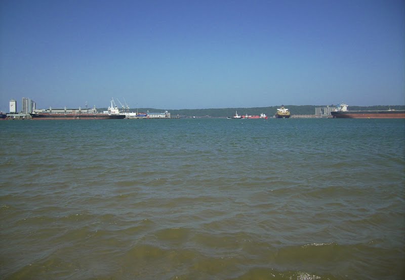 Pike flyfishing articles Durban Bay harbour flats