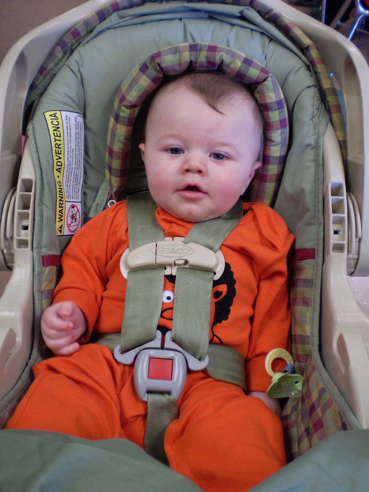 Momthebabysinthetoilet Wanted Baby for Rent