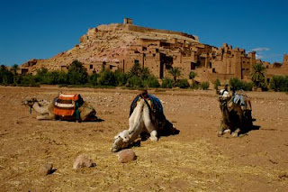 Fez, Marrakech y el desierto a nuestro aire - Blogs de Marruecos - Fez, Marrakech y el desierto a nuestro aire (4)