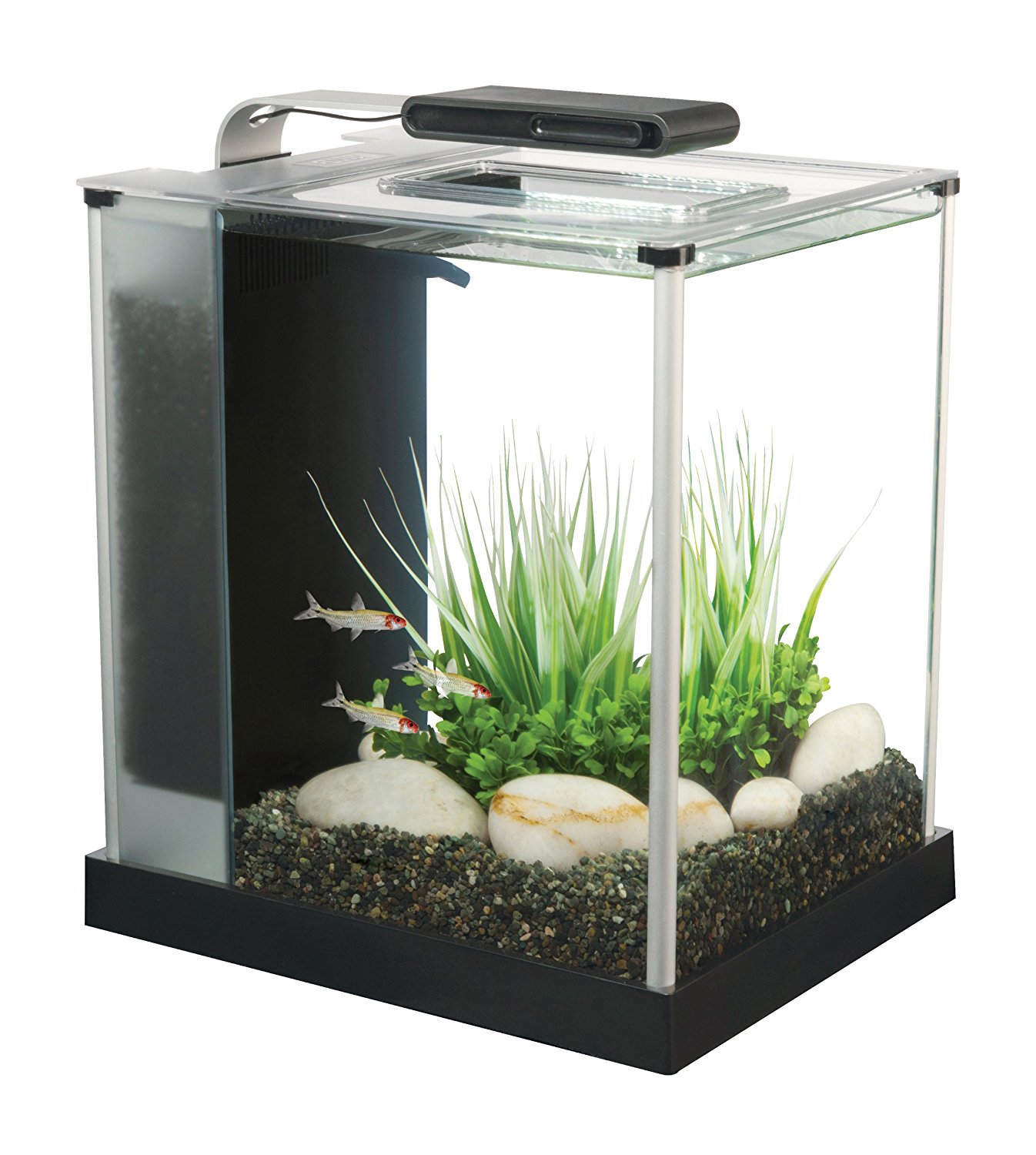 Best Aquarium Starter Kit Aquarium Starter Kits