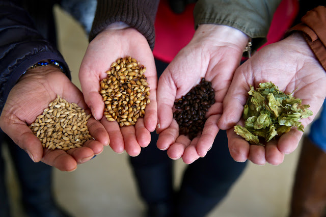 Left to Right: malted barley, crystal malt barley, roasted barley, hops. Ramsgate brewery, Kent