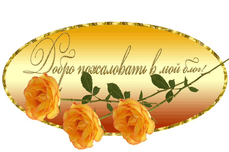 можно картинки заходи в блогах большей