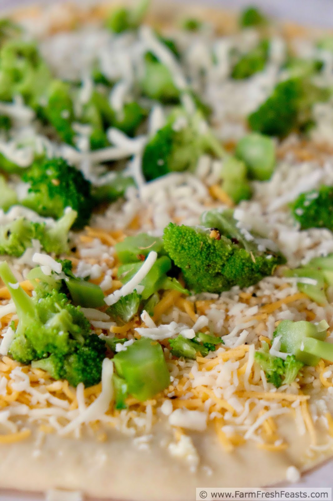 Broccoli Wild Rice Casserole Best Of Bridge Broccoli Walls