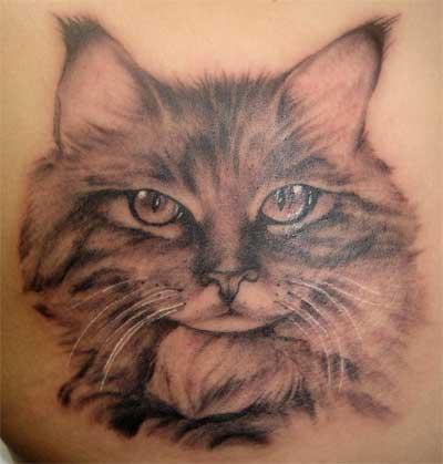 This is Thomas’s tattoo of his cat Megan, that recently passed away.