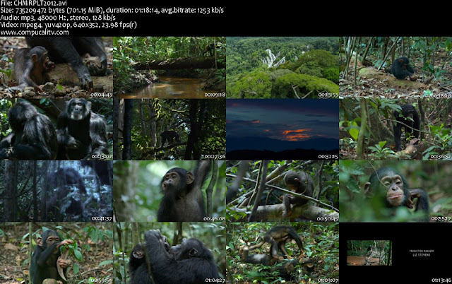 Chimpanzee DVDRip Español Latino Descargar 1 Link 2012 