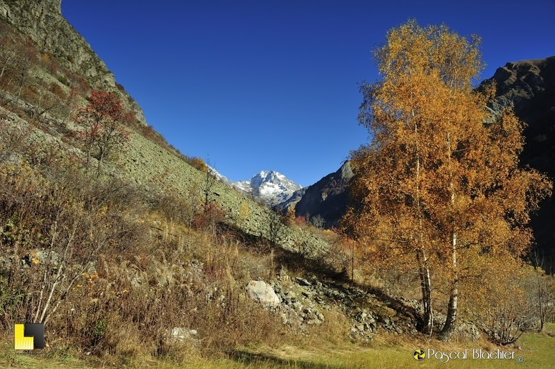 dans le valgaudemar automne 2016 photo Pascal Blachier