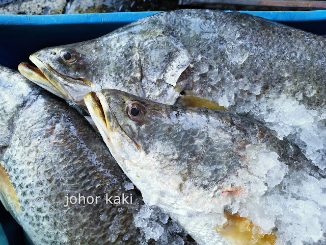 You Buy, Ah Huat Cook For You @ Pontian Fish Market 亚发代炒 You Buy, Ah Huat Cook For You @ Pontian Fish Market 亚发代炒