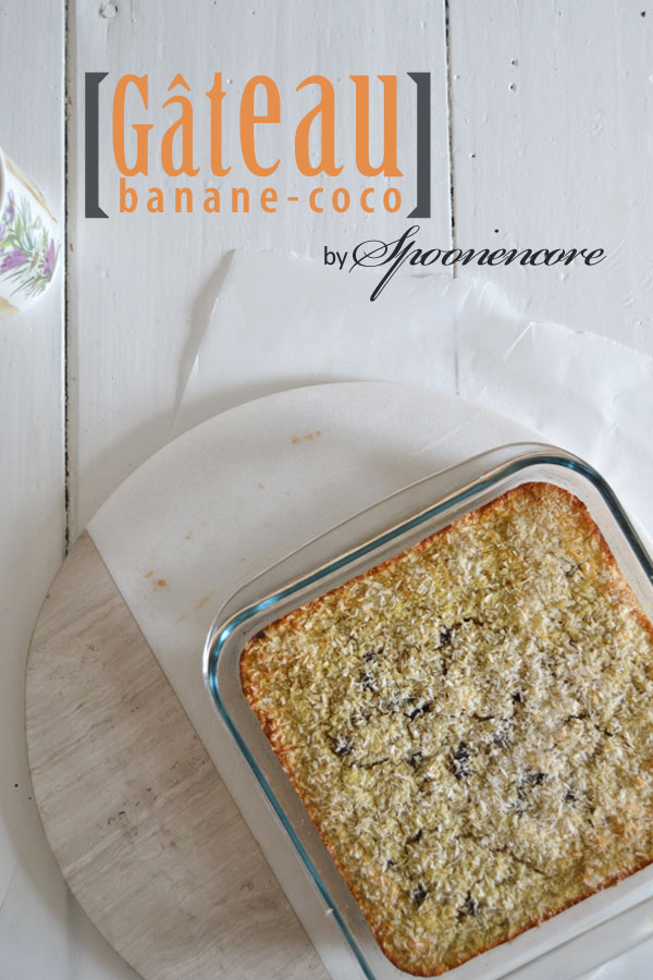 Spoon[encore!] Blog de recettes sans gluten / Gluten Free recipes from
