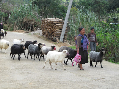16 дней на разграбление Мексики. И ограбление по-мексикански как алаверды. 2019, февраль