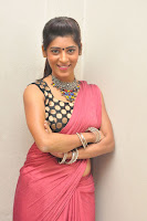 Gayatri Gupta sizzling saree Photo Shoot TollywoodBlog.com