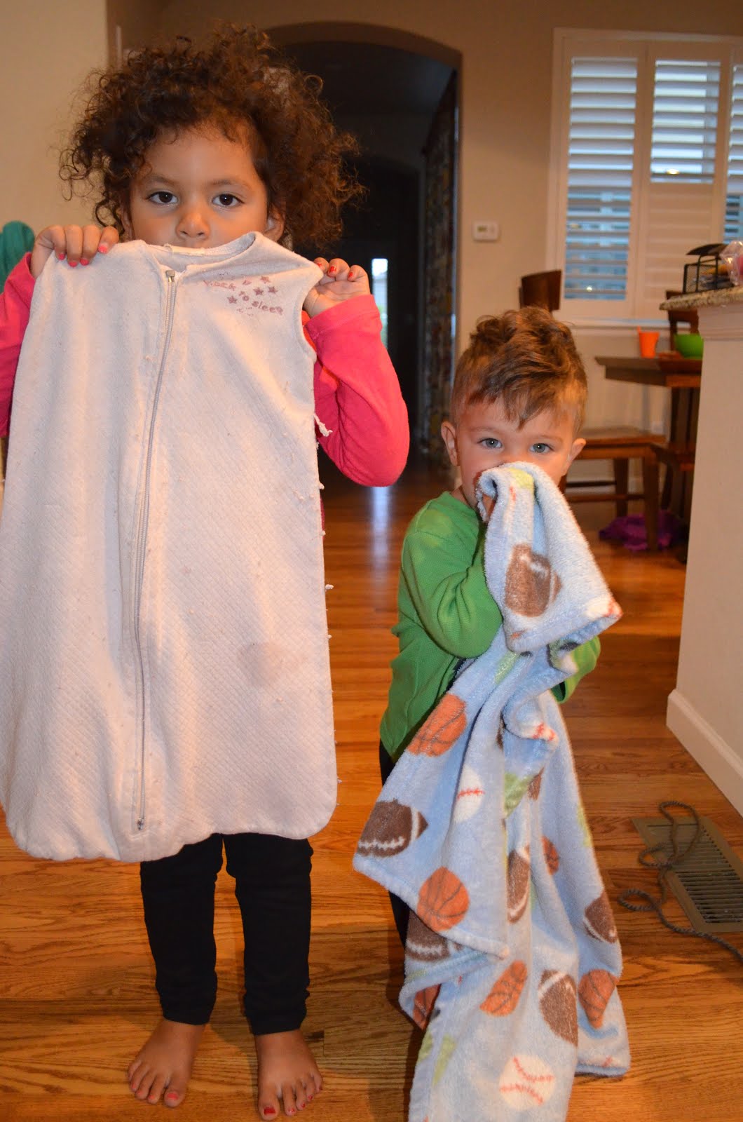 Wolgablog Blanket Sniffers