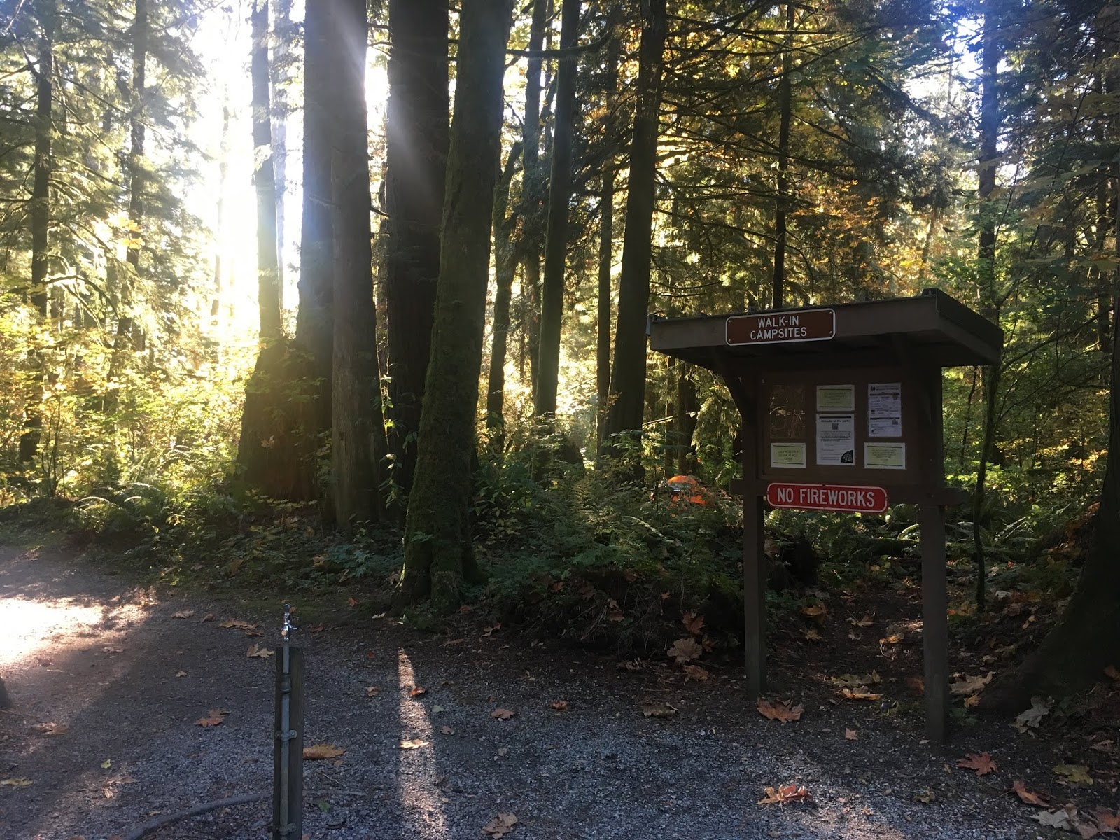 The Adventures of Team WilSun Quick campsite review Rasar State Park Campground, site 43