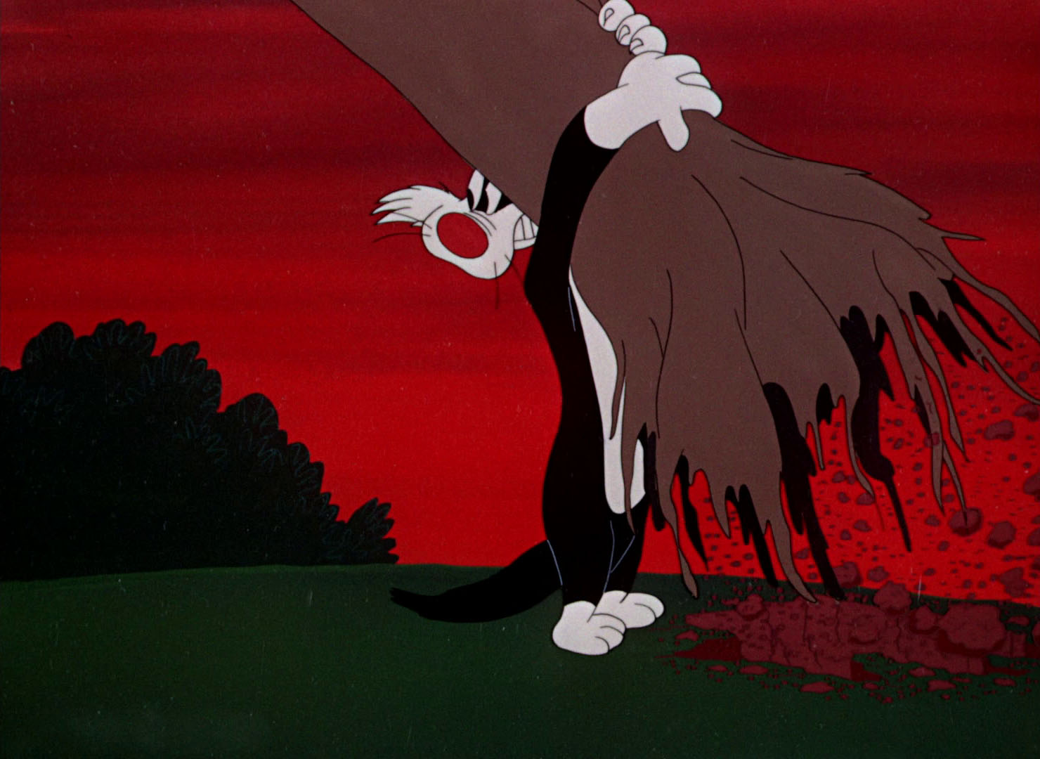 Looney Tunes Pictures Scaredy Cat looney-tunes-pictures-scaredy-cat