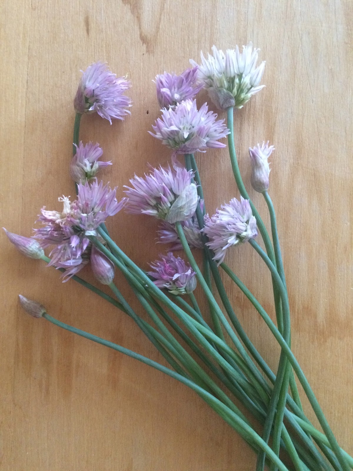 Passionately Raw! Scrumptious Kale Salad With Purple Onion And Chive